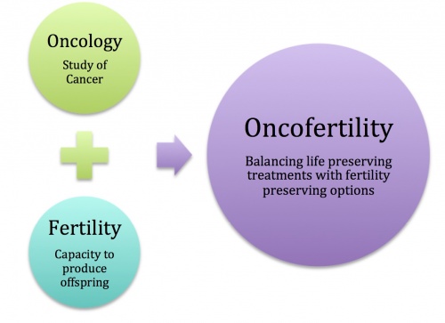Oncofertility
